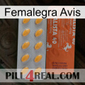 Femalegra Avis 43